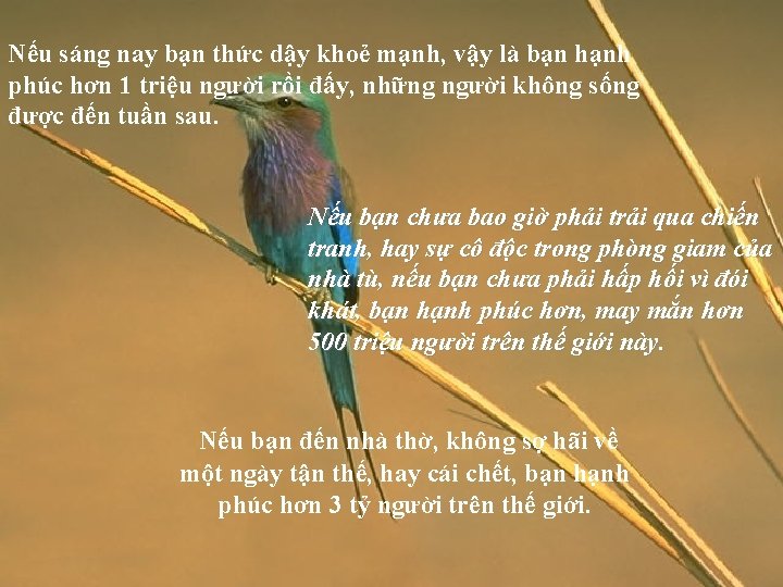 Nếu sáng nay bạn thức dậy khoẻ mạnh, vậy là bạn hạnh phúc hơn