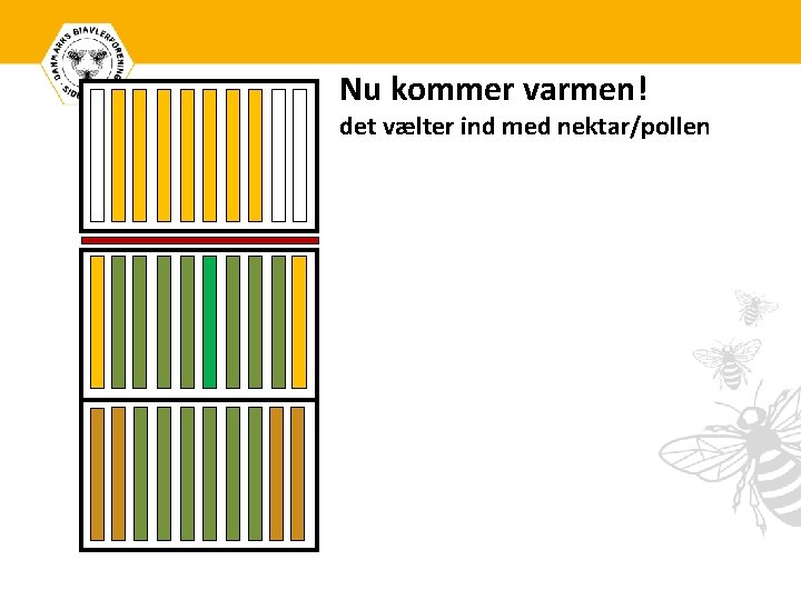 Nu kommer varmen! det vælter ind med nektar/pollen 