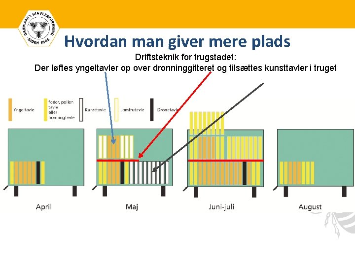 Hvordan man giver mere plads Driftsteknik for trugstadet: Der løftes yngeltavler op over dronninggitteret