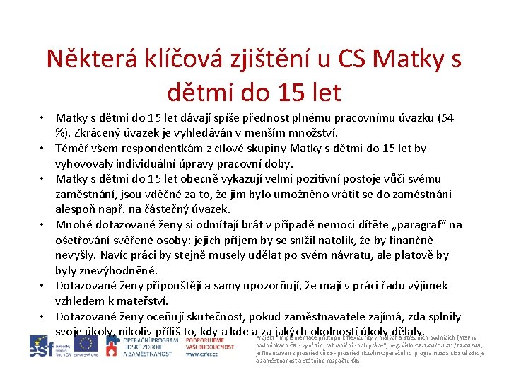 Některá klíčová zjištění u CS Matky s dětmi do 15 let • Matky s