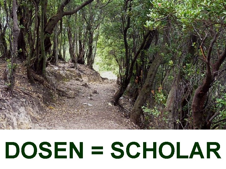 DOSEN = SCHOLAR 