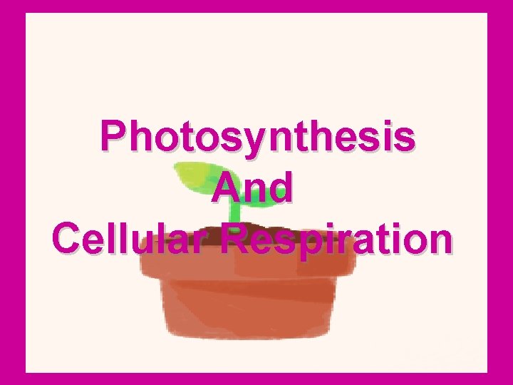 Photosynthesis And Cellular Respiration 