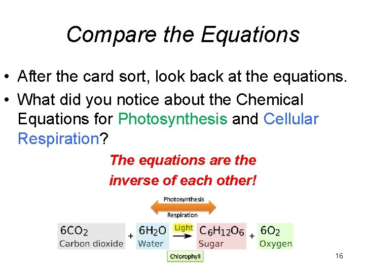 Compare the Equations • After the card sort, look back at the equations. •