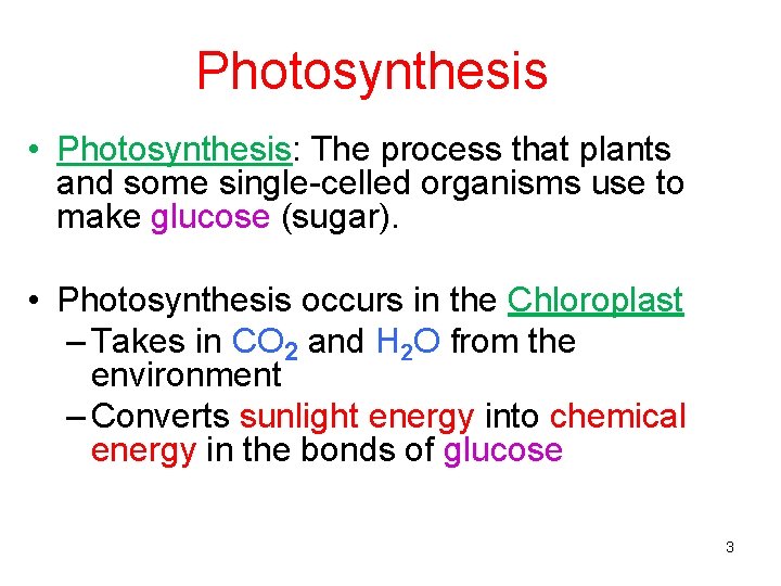 Photosynthesis • Photosynthesis: The process that plants and some single-celled organisms use to make