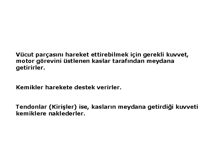 Vücut parçasını hareket ettirebilmek için gerekli kuvvet, motor görevini üstlenen kaslar tarafından meydana getirirler.