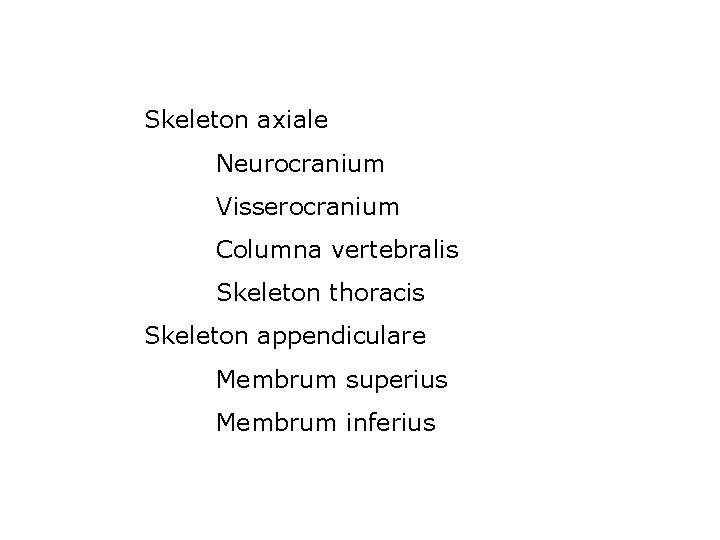 Skeleton axiale Neurocranium Visserocranium Columna vertebralis Skeleton thoracis Skeleton appendiculare Membrum superius Membrum inferius