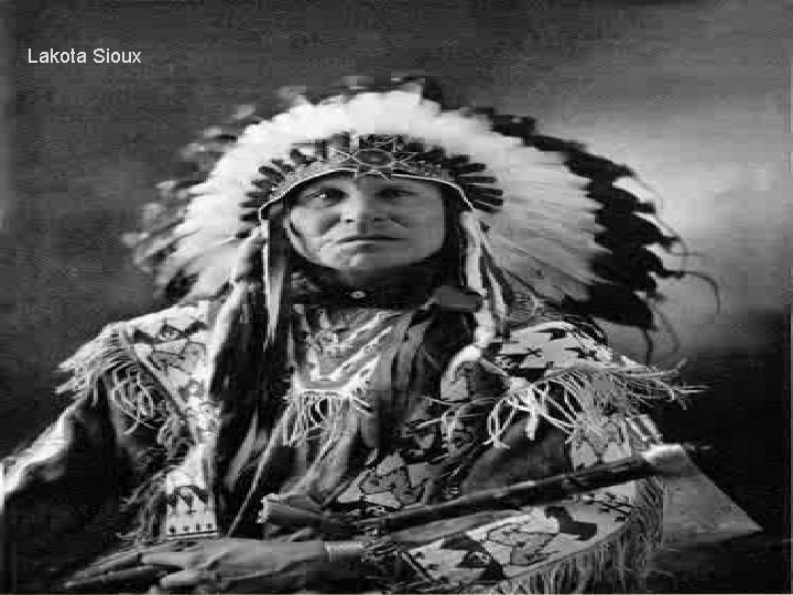 Lakota Sioux 