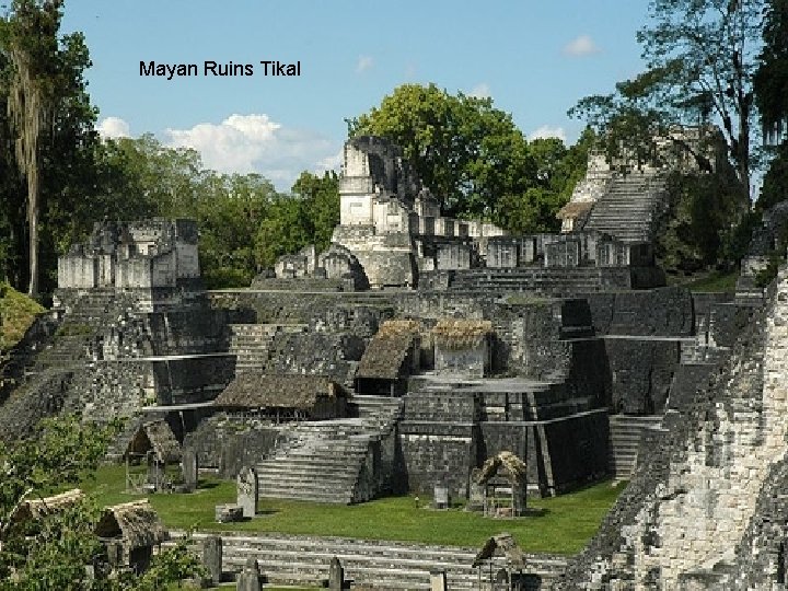 Mayan Ruins Tikal 