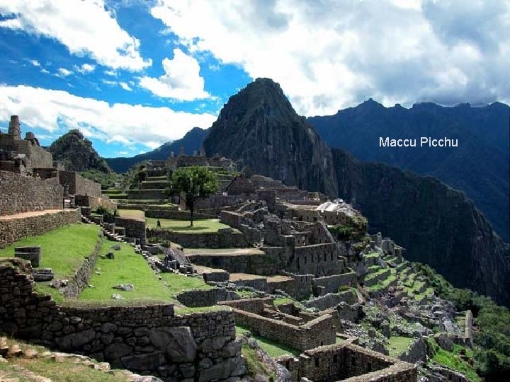 Maccu Picchu 