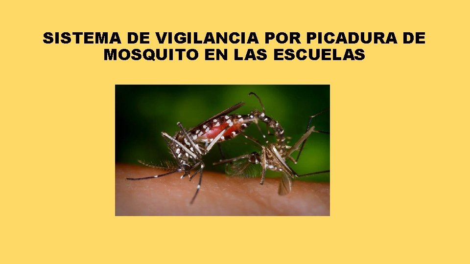 SISTEMA DE VIGILANCIA POR PICADURA DE MOSQUITO EN LAS ESCUELAS 