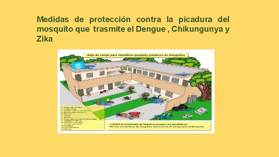 Medidas de protección contra la picadura del mosquito que trasmite el Dengue , Chikungunya