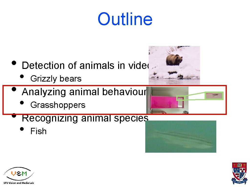 Outline • Detection of animals in video • Grizzly bears • Analyzing animal behaviours