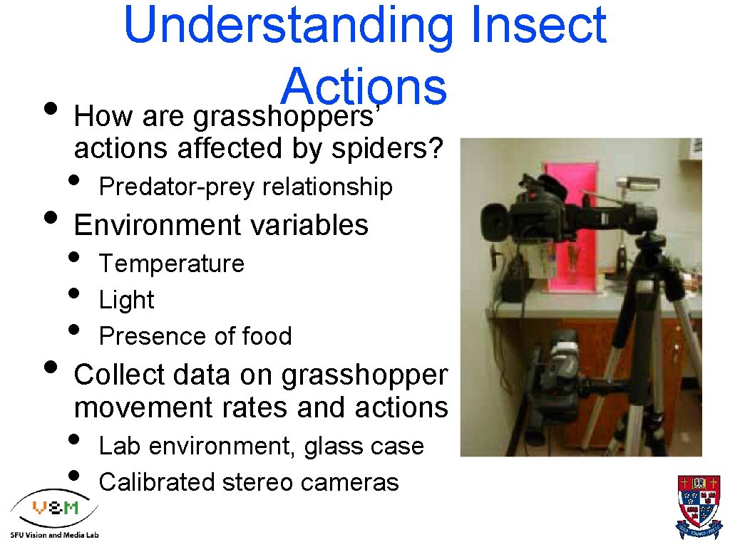 Understanding Insect Actions • How are grasshoppers’ actions affected by spiders? • Predator-prey relationship