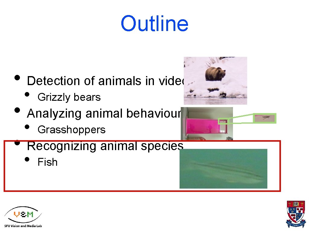 Outline • Detection of animals in video • Grizzly bears • Analyzing animal behaviours