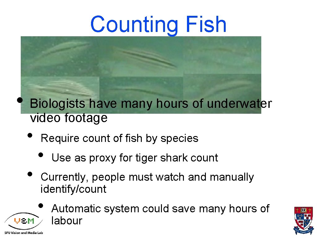 Counting Fish • Biologists have many hours of underwater video footage • • Require
