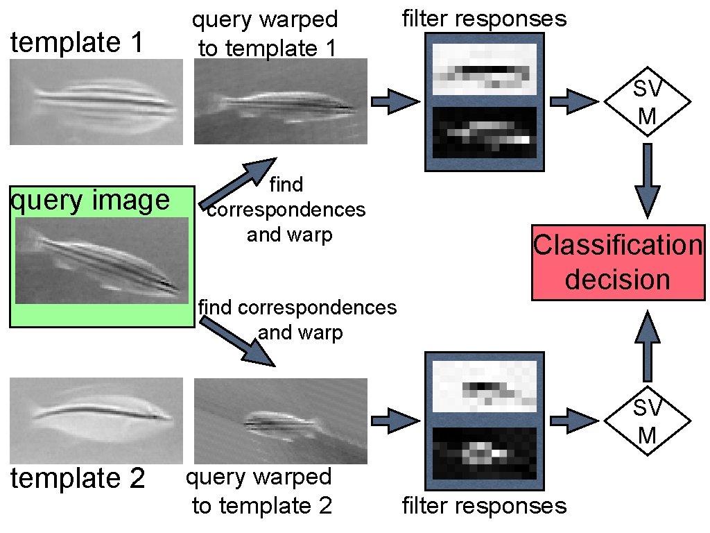 template 1 query warped to template 1 filter responses SV M query image find