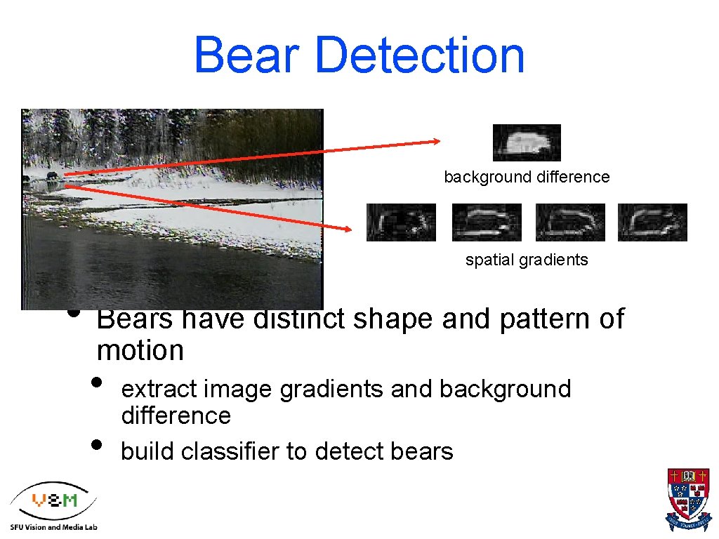 Bear Detection background difference spatial gradients • Bears have distinct shape and pattern of