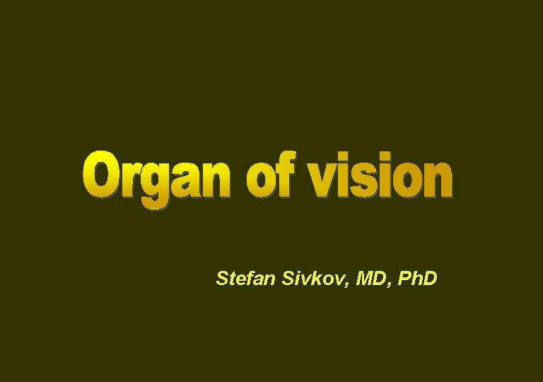 Stefan Sivkov, MD, Ph. D 