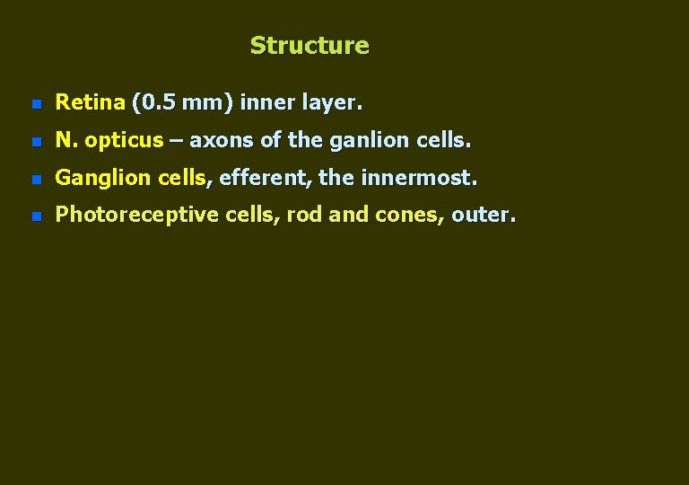 Structure n Retina (0. 5 mm) inner layer. n N. opticus – axons of