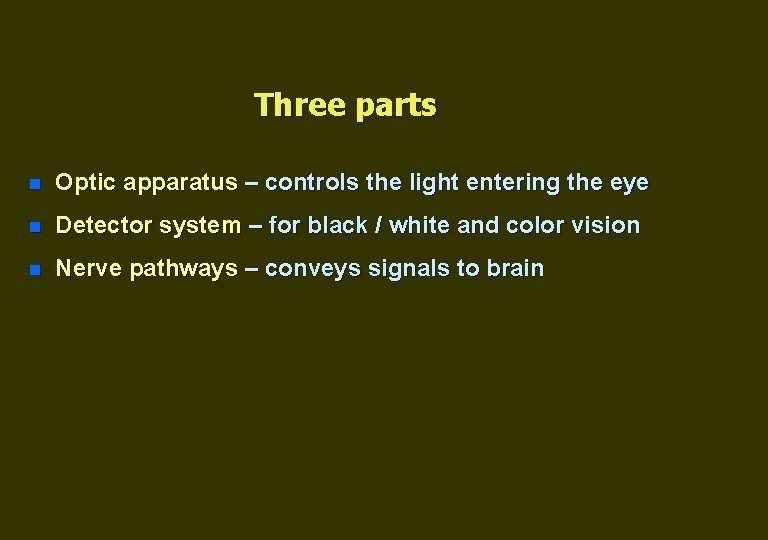 Three parts n Optic apparatus – controls the light entering the eye n Detector
