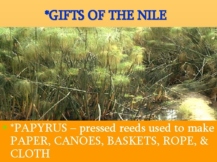 *GIFTS OF THE NILE § *PAPYRUS – pressed reeds used to make PAPER, CANOES,