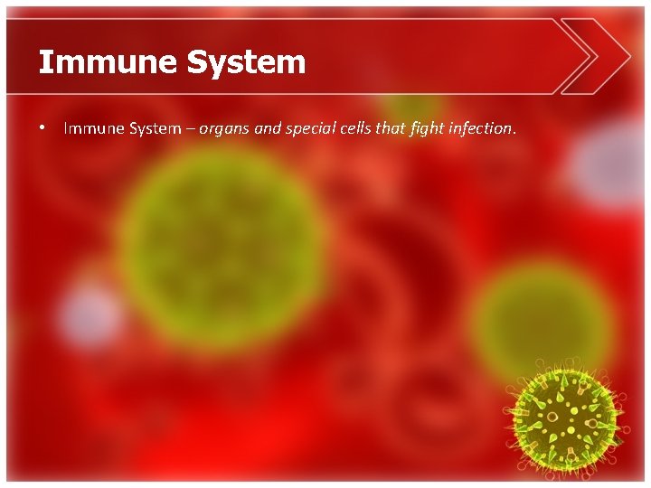 Immune System • Immune System – organs and special cells that fight infection. 