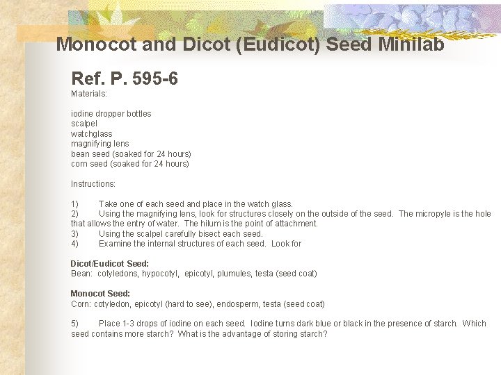 Monocot and Dicot (Eudicot) Seed Minilab Ref. P. 595 -6 Materials: iodine dropper bottles
