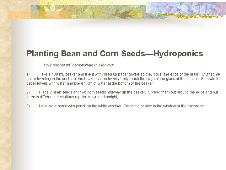 Planting Bean and Corn Seeds—Hydroponics Your teacher will demonstrate this for you: 1) Take