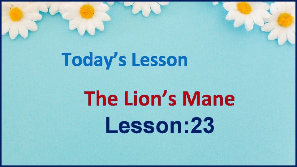 Today’s Lesson The Lion’s Mane Lesson: 23 