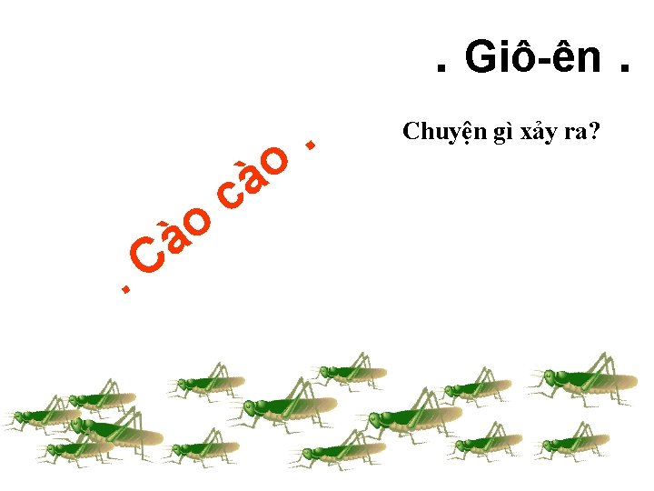 . Giô-ên. C. o à c o à . Chuyện gì xảy ra? 