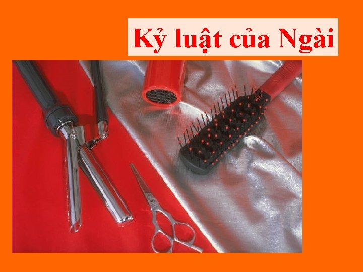 Kỷ luật của Ngài 