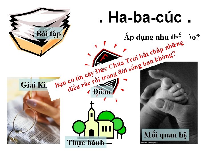 . Ha-ba-cúc. Bài tập Áp dụng như thế nào? ng ữ h n p