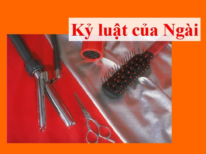 Kỷ luật của Ngài 