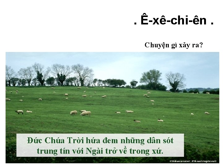 . Ê-xê-chi-ên. Chuyện gì xảy ra? Đức Chúa Trời hứa đem những dân sót