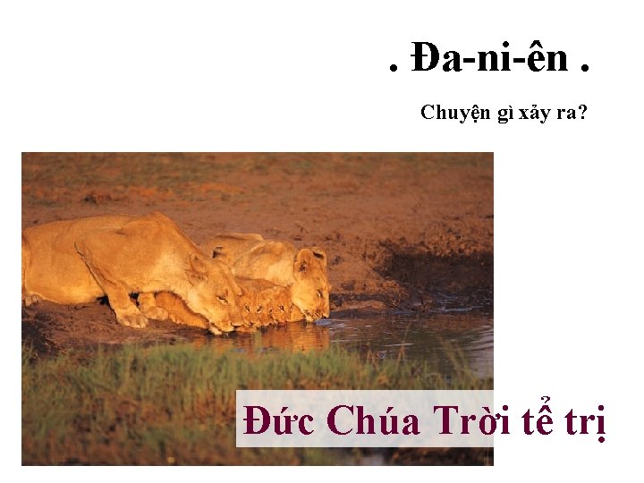 . Đa-ni-ên. Chuyện gì xảy ra? Đức Chúa Trời tể trị 