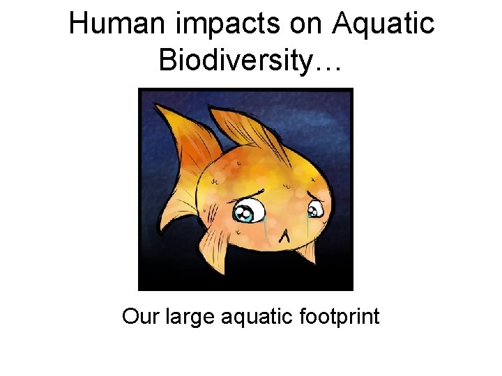 Human impacts on Aquatic Biodiversity… Our large aquatic footprint 