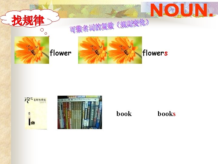 找规律 flowers books 
