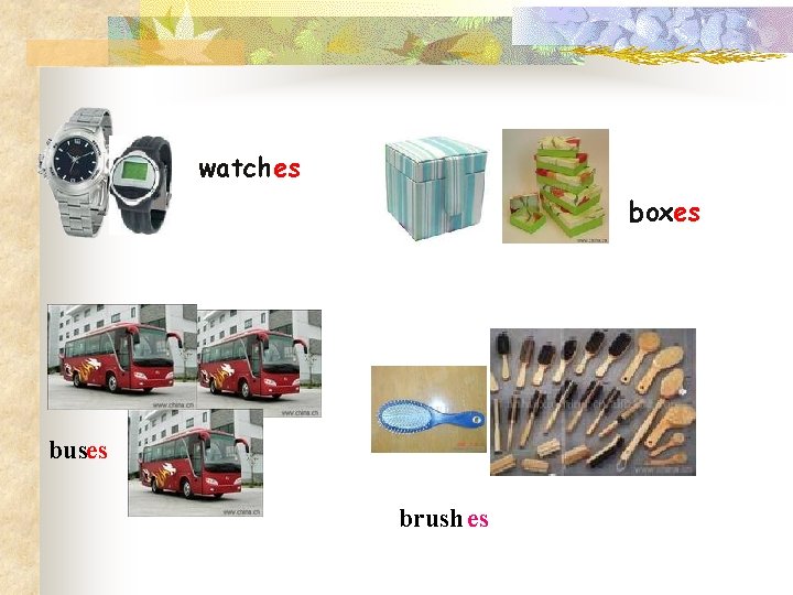 watches boxes buses brushes 