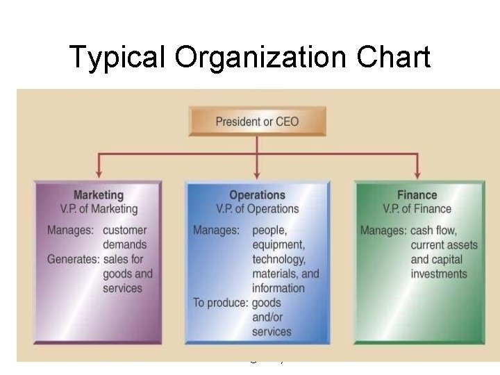 Typical Organization Chart © Wiley 2010 4 