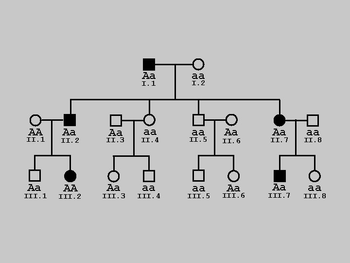 Aa I. 1 AA Aa Aa II. 1 II. 2 II. 3 Aa AA
