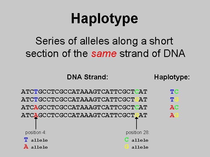 Haplotype Series of alleles along a short section of the same strand of DNA