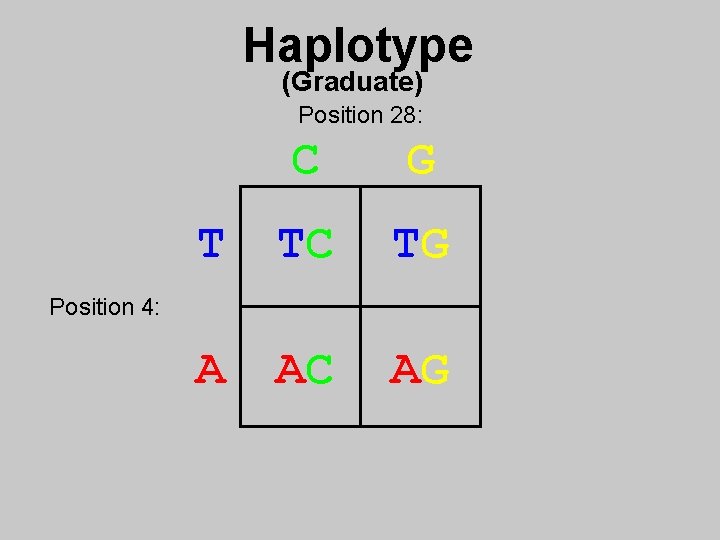 Haplotype (Graduate) Position 28: C G T TC TG A AC AG Position 4:
