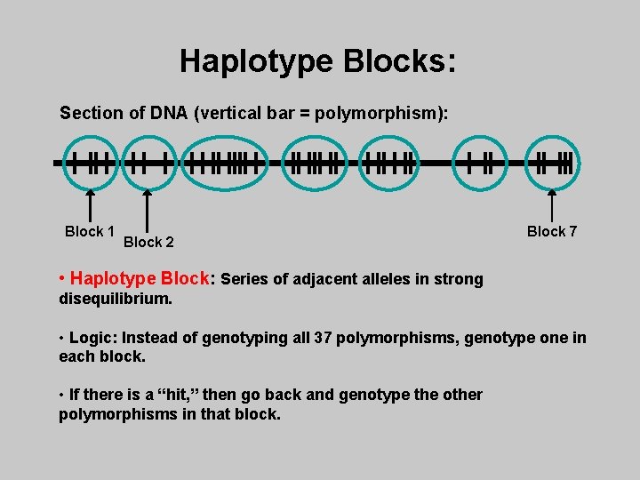Haplotype Blocks: Section of DNA (vertical bar = polymorphism): Block 1 Block 2 Block