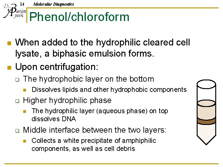 14 Molecular Diagnostics Phenol/chloroform n n When added to the hydrophilic cleared cell lysate,