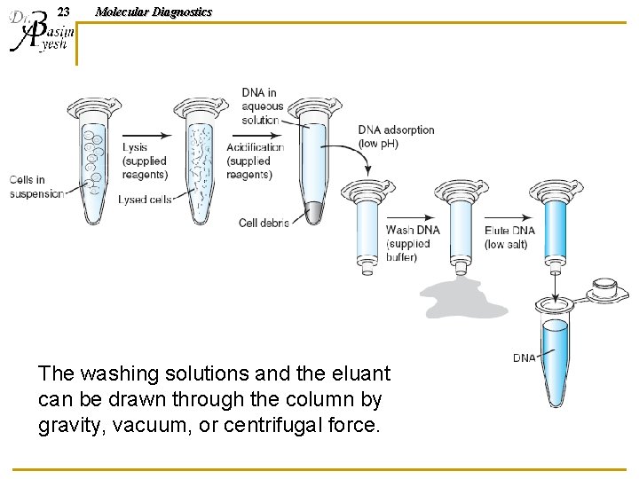 23 Molecular Diagnostics The washing solutions and the eluant can be drawn through the