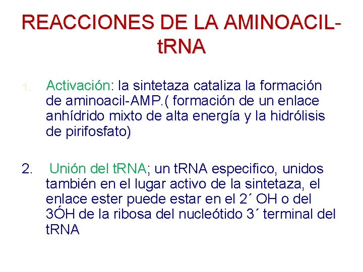 REACCIONES DE LA AMINOACILt. RNA 1. Activación: la sintetaza cataliza la formación de aminoacil-AMP. REACCIONES DE LA AMINOACILt. RNA 1. Activación: la sintetaza cataliza la formación de aminoacil-AMP.