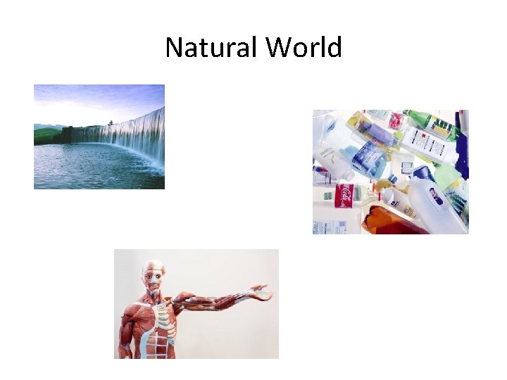 Natural World 