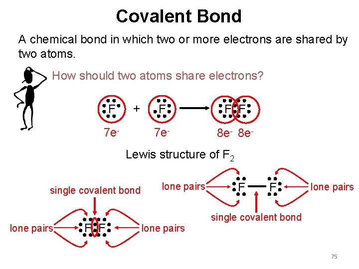 Covalent Bond A chemical bond in which two or more electrons are shared by
