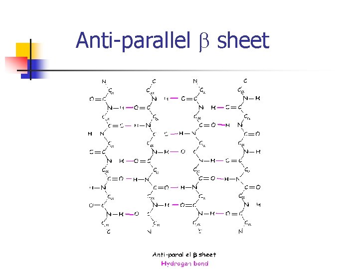 Anti-parallel b sheet 