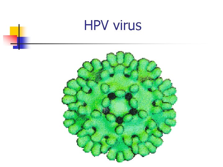 HPV virus 